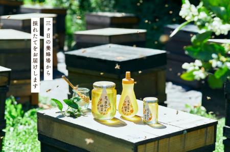 「朝採れ生はちみつ、そのまま瓶へ」長坂養蜂場、鮮度