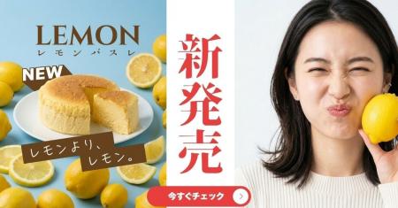 【初夏限定】熊本のチーズケーキ専門店：白い貴婦人よ