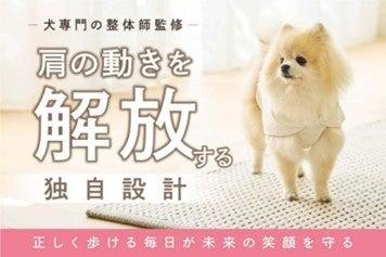 肩の動きを解放する独自設計で愛犬の未来を守る　ドッ
