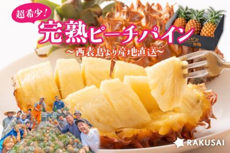 超希少！西表島より産地直送 アララガマ農園さんの完