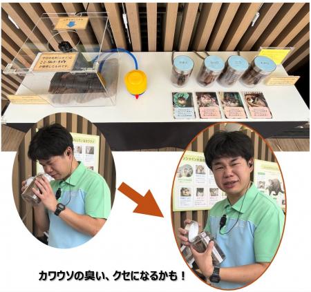 見て、聴いて、嗅いで、触れて!かわいいだけではない 見て、聴いて、嗅いで、触れて!かわいいだけではない