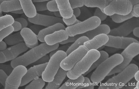 ヒトのビフィズス菌M-63が離乳期以降の乳幼児において