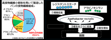 日清製粉グループ カギは“多様な発酵性食物繊維” 高食