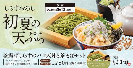 初夏のごちそう。釜揚げしらすとバラ天を、おろしで食