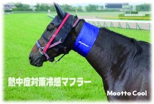 【USIMO】馬のヒートストレス軽減と競争能力向上の両 【USIMO】馬のヒートストレス軽減と競争能力向上の両