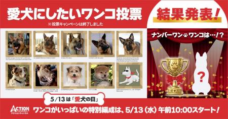 5月13日は【愛犬の日】アクションチャンネル視聴者2,2