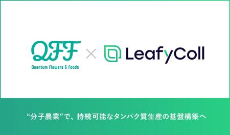 英国LeafyCollとQFF、タバコ種子への中性子線照射によ 英国LeafyCollとQFF、タバコ種子への中性子線照射によ