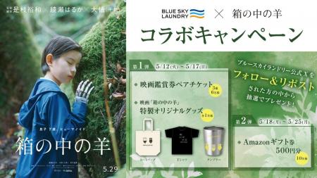 コインランドリー『ブルースカイランドリー』×映画『