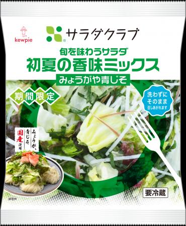 サラダクラブ「旬を味わうサラダ 初夏の香味ミックス