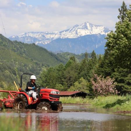 【飛騨高山・岐阜県高山市】笠ヶ岳で白馬形が現れる！