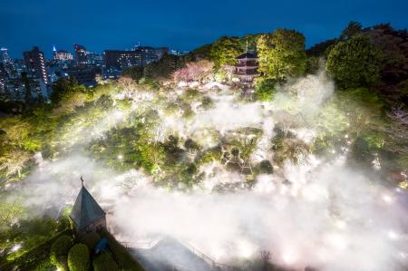【ホテル椿山荘東京】都心の庭園に現れる奇跡の絶景が