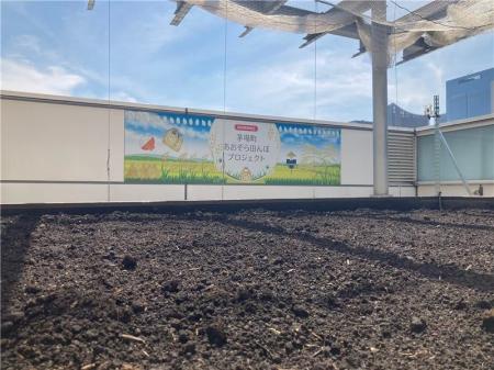 プレナス米文化継承活動 茅場町あおぞら田んぼプロジ