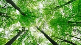 世界的なESG投資インデックス「DJ BIC World」2026構