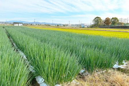 持続可能な調達(グリーン調達)の実効性を科学で証明