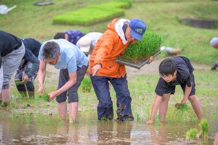 【ロッテアライリゾートホテル】 「星空米」田植え体