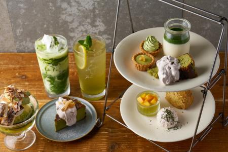 【新茶シーズン】大阪5店舗「食堂カフェpotto」で希少