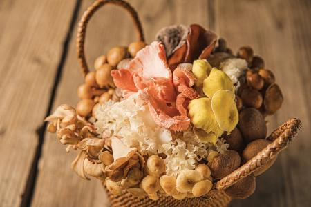 【新店情報・東京】6/4(木)「裏の山の木の子 吉祥寺店 【新店情報・東京】6/4(木)「裏の山の木の子 吉祥寺店