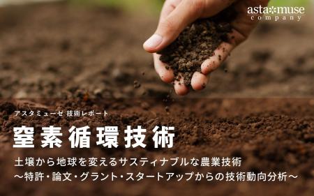 窒素循環技術：土壌から地球を変えるサスティナブルな