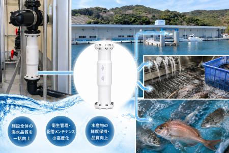 徳島県・椿泊漁港の「高度衛生管理型荷さばき所」に配 徳島県・椿泊漁港の「高度衛生管理型荷さばき所」に配