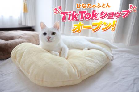 「日本のひなたで作る、日本製のおふとん」を出来たて