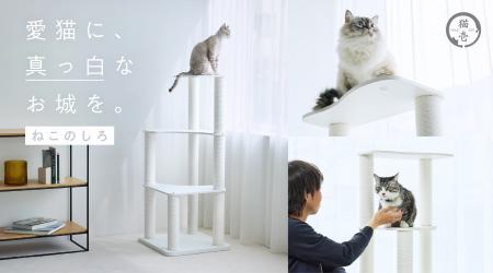 愛猫、城に住む。
くつろぎも、爪とぎも、遊びutf-8