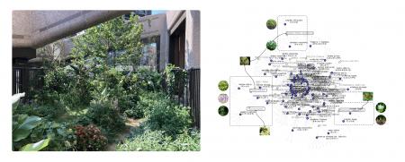 麻布台ヒルズに拡張生態系緑地「Green Pool」が誕生