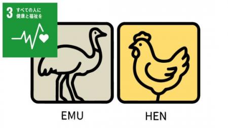 “ヤゲン軟骨の秘密”を解明 ～飛ぶ鳥と走る鳥で異なる