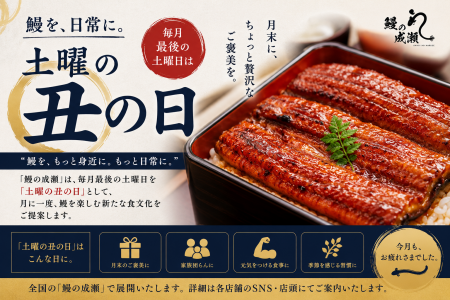 毎月最後の土曜日を「土曜の丑の日」に制定