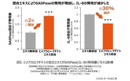 シワには“シワのための保湿メカニズム”があることを発