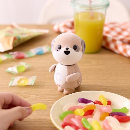 対話AIキャラクター「ポケとも」に、会話無制限の新プ