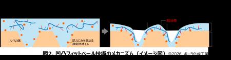 “シワのための”新処方 「凹凸フィットベール技術」を