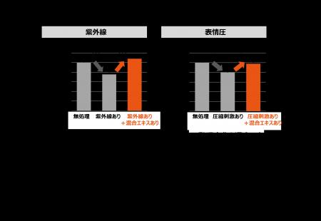 紫外線・表情圧が睡眠時のコラーゲン産生にブレーキを