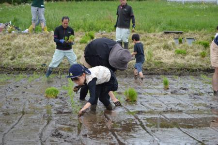 つくば市で田植え体験　稲刈りまでの連続企画スタート