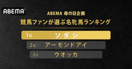 競馬ファンが選ぶ名牝馬は？SNS企画「あなたの