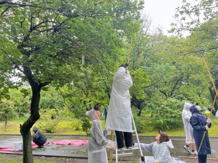 5月26日 相模女子大学オリジナル梅酒『翠想（すutf-8