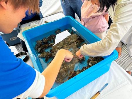 「真珠の街・神戸」が贈る本物の体験。第53回神戸まつ