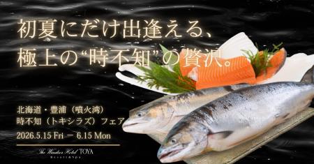 【初夏限定・至高の味覚】北海道・噴火湾産“時不知”を