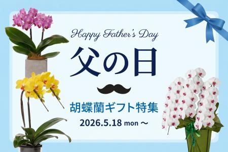 父の日胡蝶蘭ギフトを2026年5月18日~販売開始!|胡 父の日胡蝶蘭ギフトを2026年5月18日~販売開始!|胡