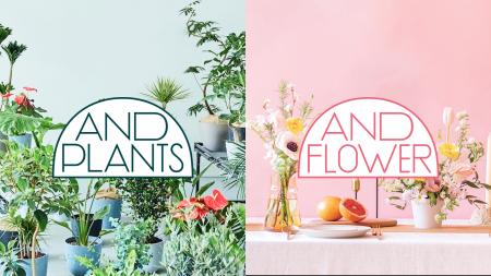 アンドプランツ5周年。花事業を「AND FLOWER（アンド