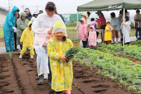 赤ねぎ・サツマイモの定植にチャレンジ 伊勢崎市「み 赤ねぎ・サツマイモの定植にチャレンジ 伊勢崎市「み