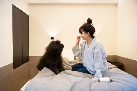 「あさま空山望」に愛犬との一人旅プランが誕生 初夏 「あさま空山望」に愛犬との一人旅プランが誕生 初夏