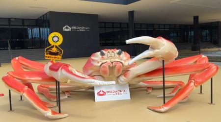 【日本初のかにのオープンファクトリー】「かにファク