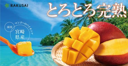 完熟の甘みをご家庭で 大好評の『お買い得 完熟!宮崎 完熟の甘みをご家庭で 大好評の『お買い得 完熟!宮崎