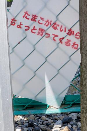 重光美沙・李軼初 二人展「たまごがないからちょっと 重光美沙・李軼初 二人展「たまごがないからちょっと