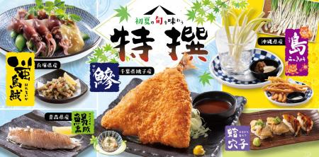 【ミライザカ】旬を味わう!初夏限定の特選メニューを 【ミライザカ】旬を味わう!初夏限定の特選メニューを