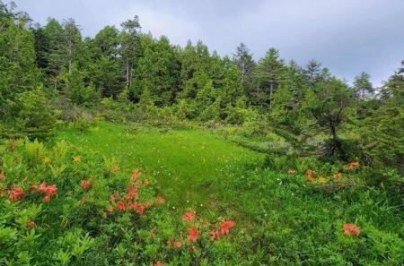 【岐阜県飛騨市】普段は入れない秘境の新たな魅力を発 【岐阜県飛騨市】普段は入れない秘境の新たな魅力を発