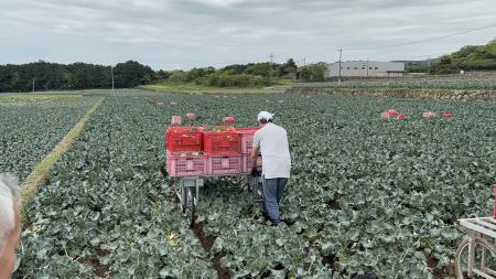 農業現場の声から生まれた電動台車― ブロッコリutf-8