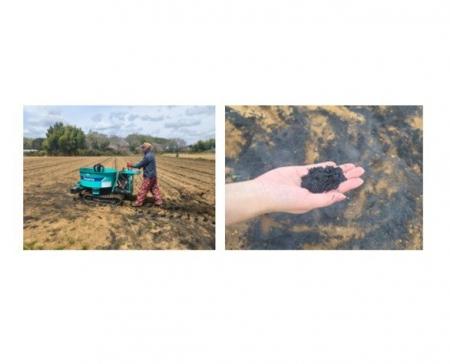 CO2削減貢献と土壌改良へ 茨城 サツマイモの農業法人 CO2削減貢献と土壌改良へ 茨城 サツマイモの農業法人
