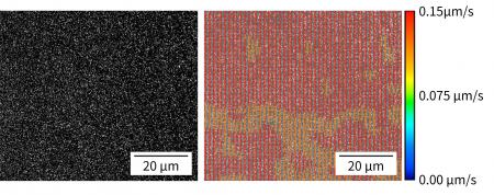 スラリー中のサブミクロン粒子の乾燥挙動を可視化する