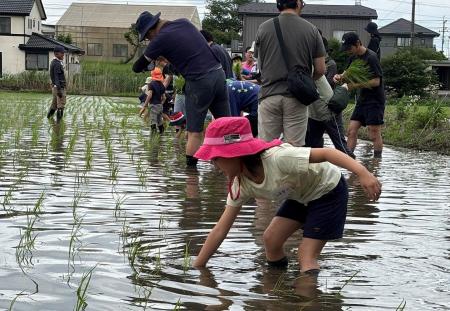田植えから稲刈りまで家族で体験　さいたま市岩槻区で